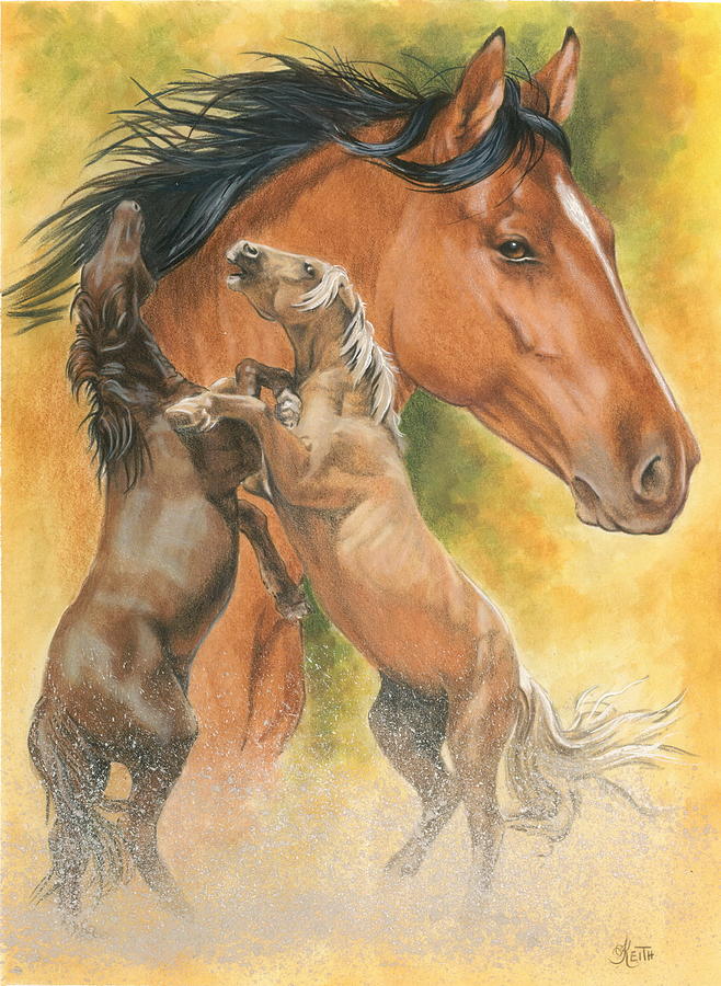 Spanish Mustang - Barbara Keith